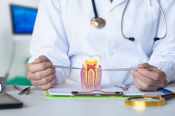 Best Walk-In Emergency Dentist in Scott, LA